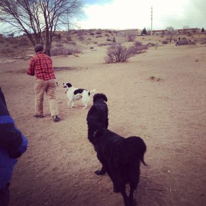 The secret dog whisperer. Just look at those dogs lining up to be his friend.