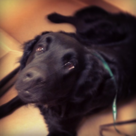 I mean, come on, she's adorable.