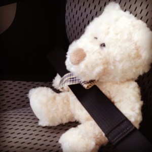 Buckle up new little best friend.