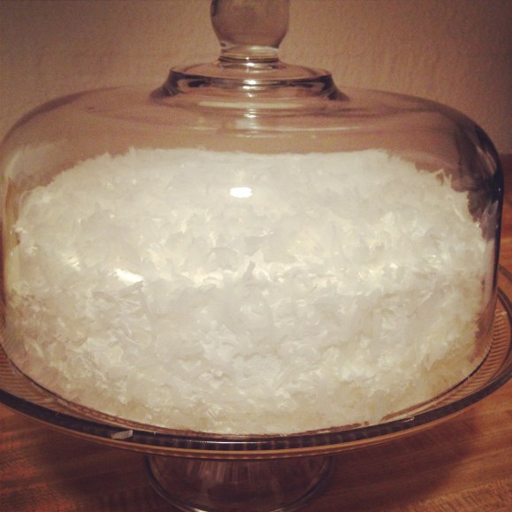 Did I use this wedding as an excuse to buy a cake plate? Yes. I absolutely did. Totally worth it for the 'wow' effect. I mean, it was going to a wedding, I just HAD to have a cake plate to be classy...